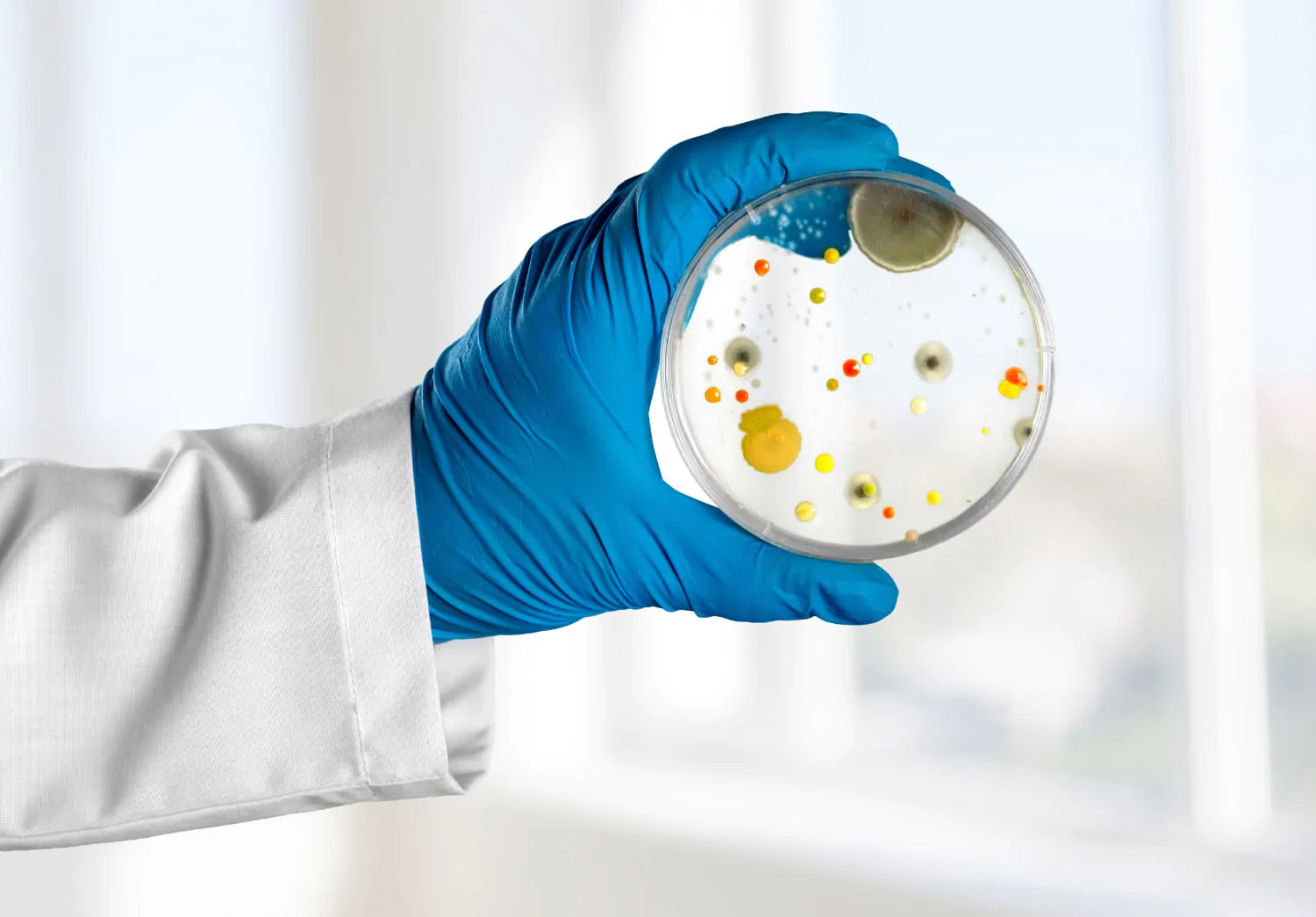 Microbiological Media & Supplements
